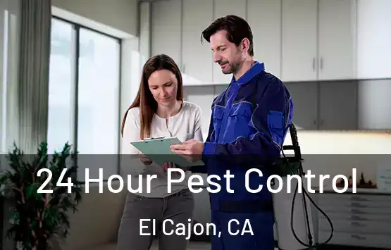  24 Hour Pest Control El Cajon, CA