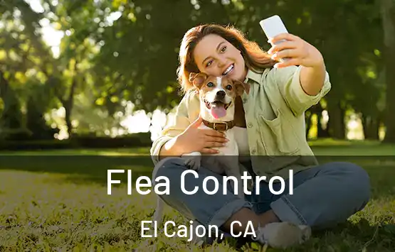  Flea Control El Cajon, CA