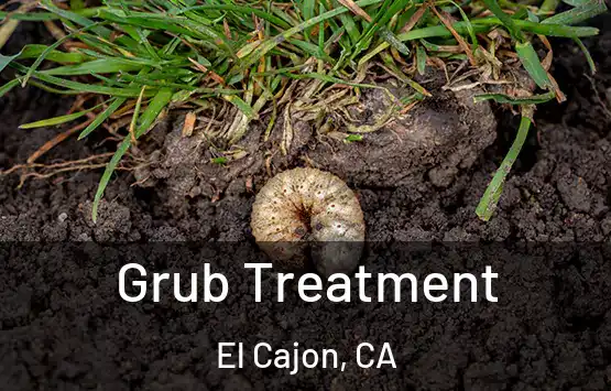  Grub Treatment El Cajon, CA