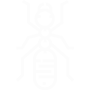 Carpenter Ants Pest Control El Cajon, CA