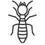 Termites Pest Control El Cajon, California