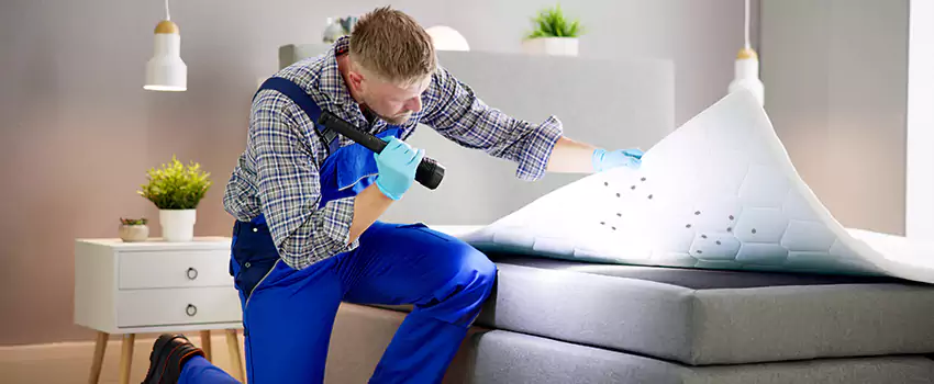 bed-bug-treatment in El Cajon, CA