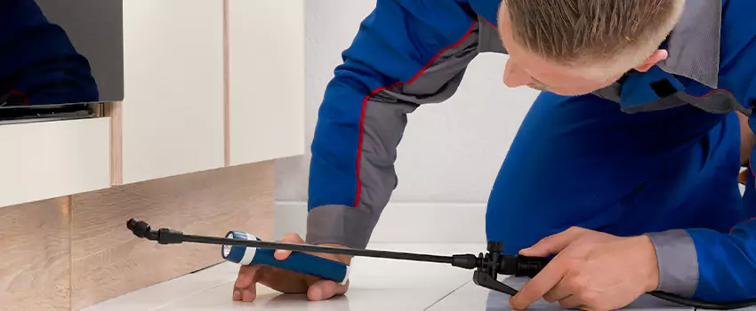 Ant Control for Bedrooms in El Cajon, CA