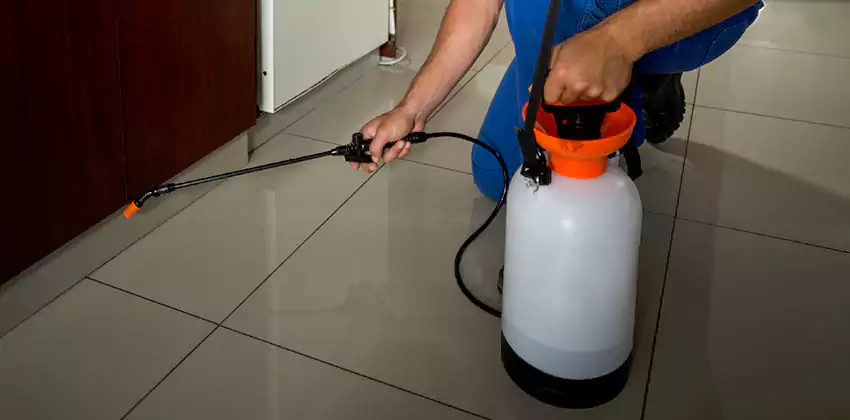 Commercial Pest Extermination for Offices in El Cajon, CA