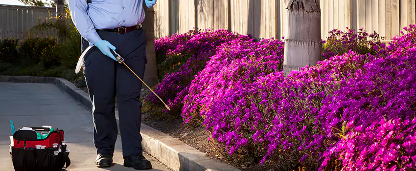 Pest Extermination for Bedrooms in El Cajon, CA