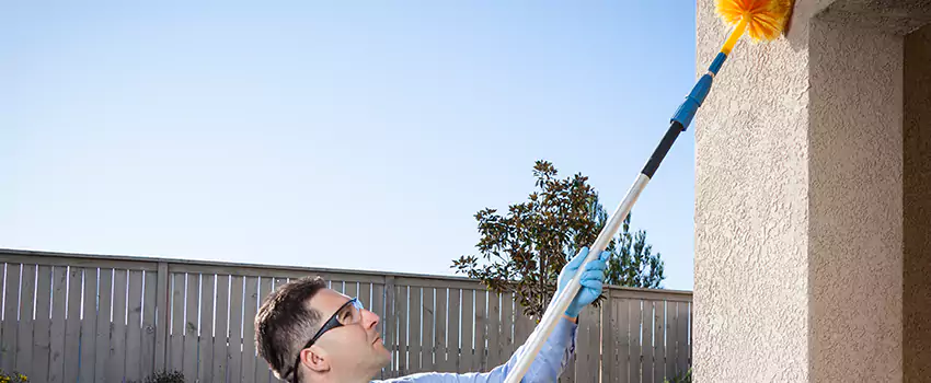 spider-exterminator in El Cajon, CA