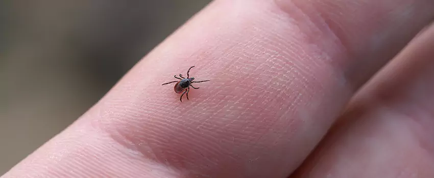 tick-control in El Cajon, CA