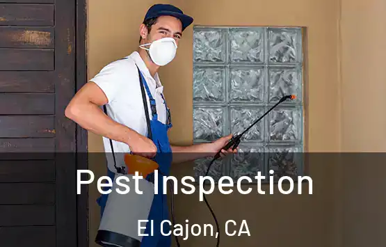  Pest Inspection El Cajon, CA