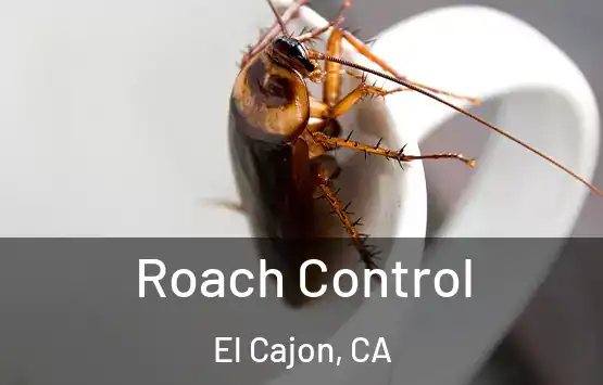  Roach Control El Cajon, CA