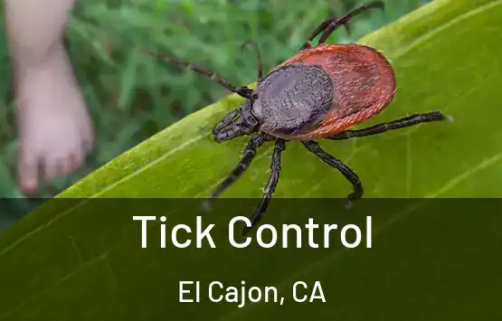  Tick Control El Cajon, CA